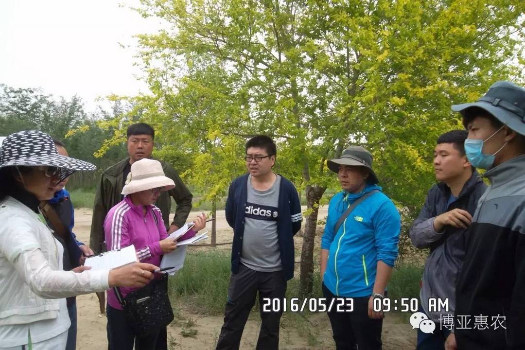 博亞惠農(nóng)：資產(chǎn)核查工作已經(jīng)鋪開(kāi)