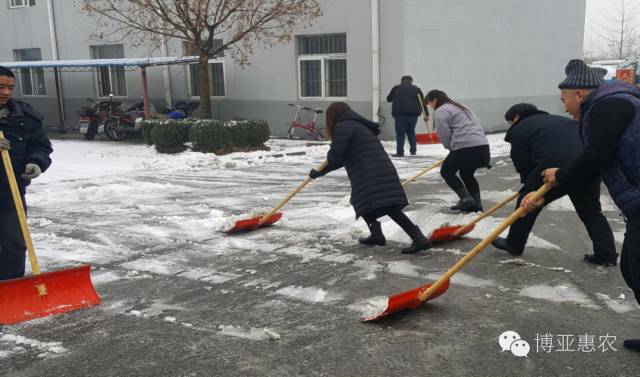 瑞雪兆豐年 勞動(dòng)最快樂——公司組織員工開展掃