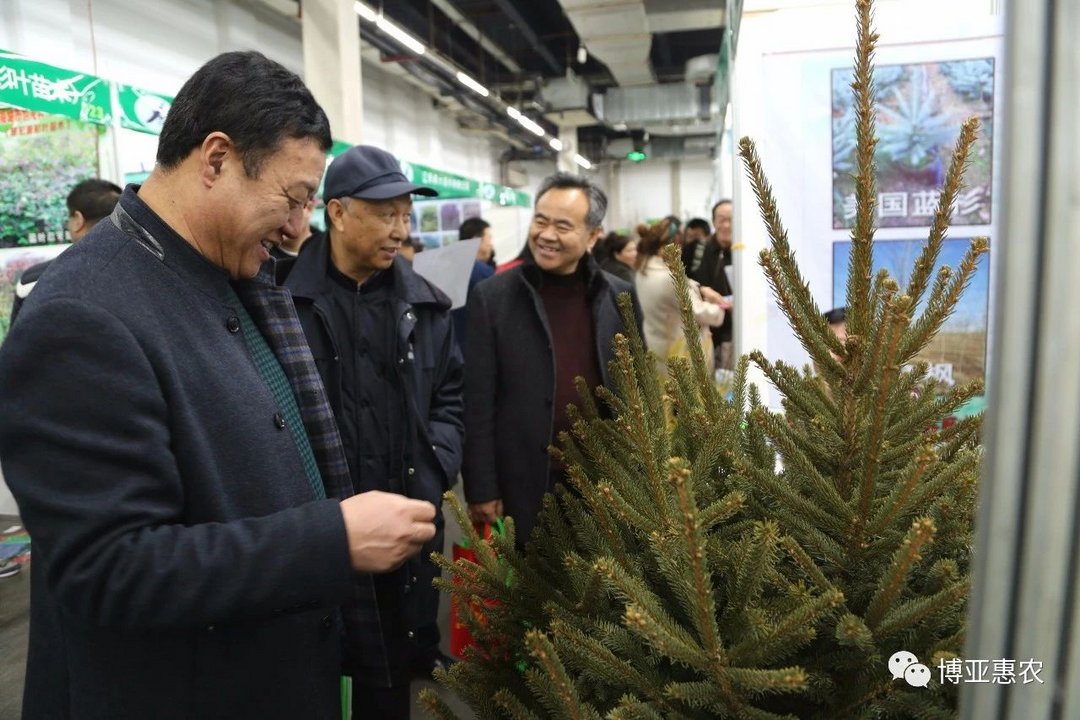 2018東北春季苗木交易會落幕 博亞惠農(nóng)展團載譽而