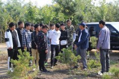 展鵬集團(tuán)召開座談會 助力大學(xué)生崗位成才