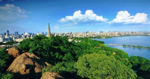 學習國外苗木行業(yè)經(jīng)驗，搶先了解國內(nèi)市場動態(tài)